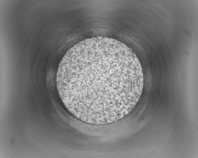 X0000110670038200907241032
