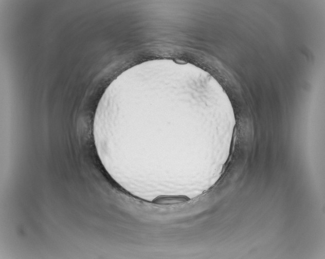 X0000110670043200907241032