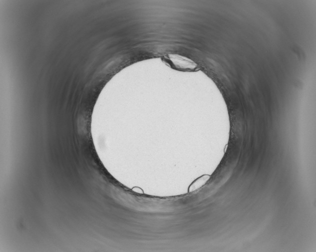 X0000110670044200907241032