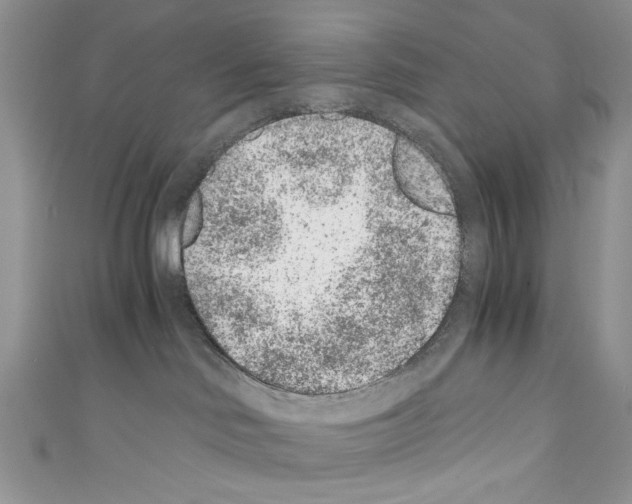 X0000110670046200907241032