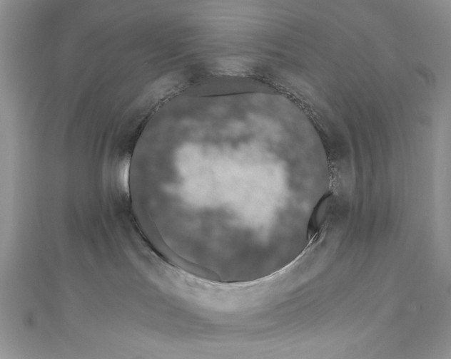 X0000110670047200907241032
