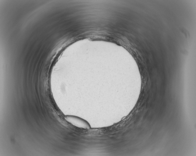X0000110670050200907241031