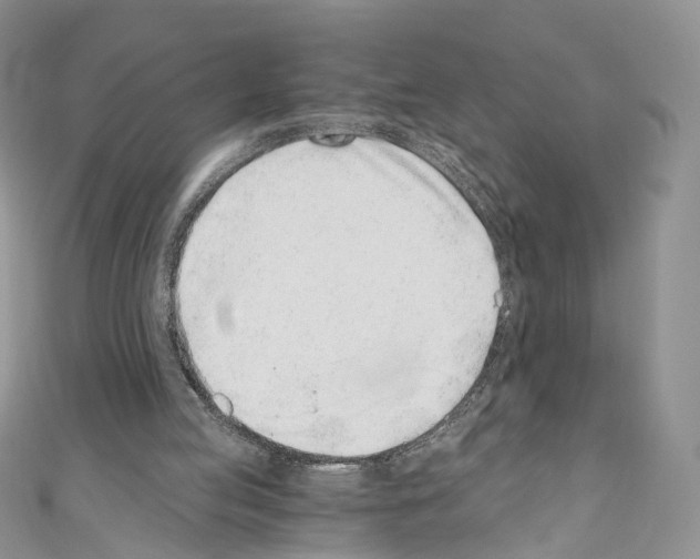 X0000110670053200907241031