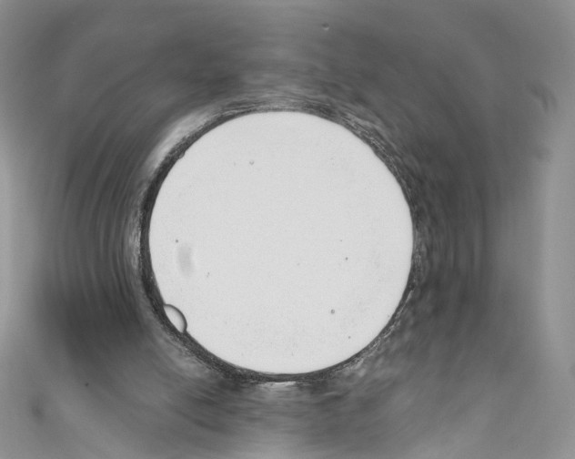 X0000110670054200907241031