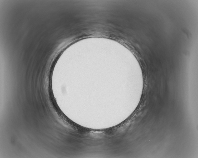 X0000110670055200907241031