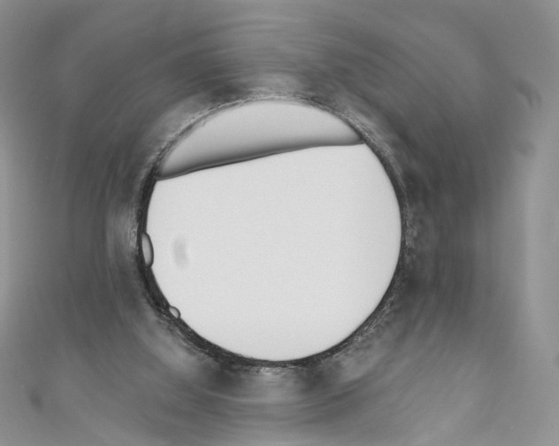 X0000110670060200907241031