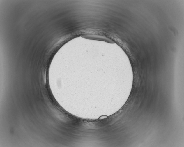 X0000110670062200907241031