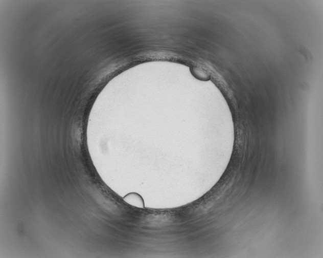 X0000110670063200907241031