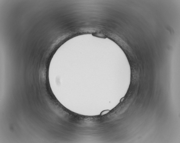 X0000110670064200907241031
