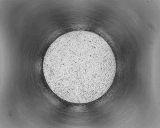 X0000110670065200907241031