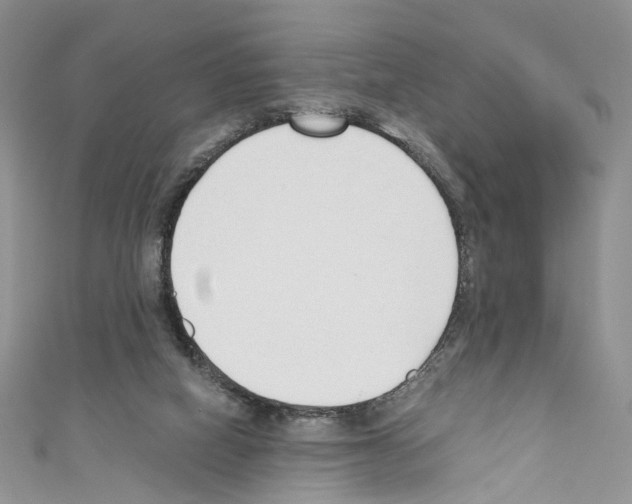 X0000110670066200907241031