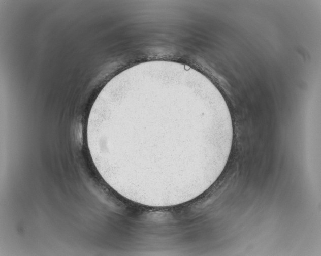 X0000110670067200907241031