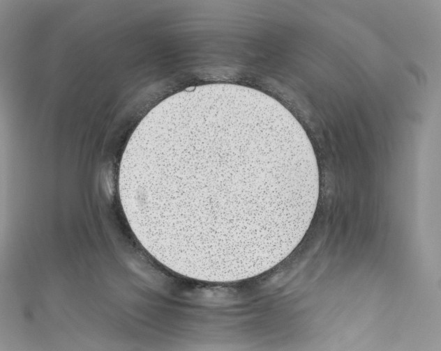 X0000110670069200907241031