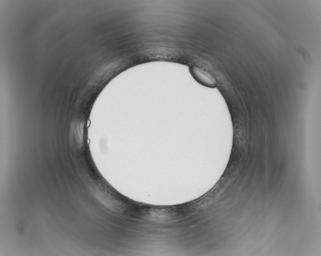 X0000110670070200907241031