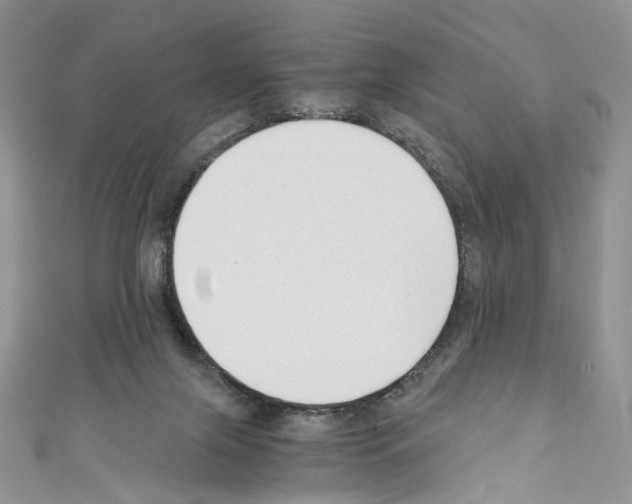 X0000110670071200907241031