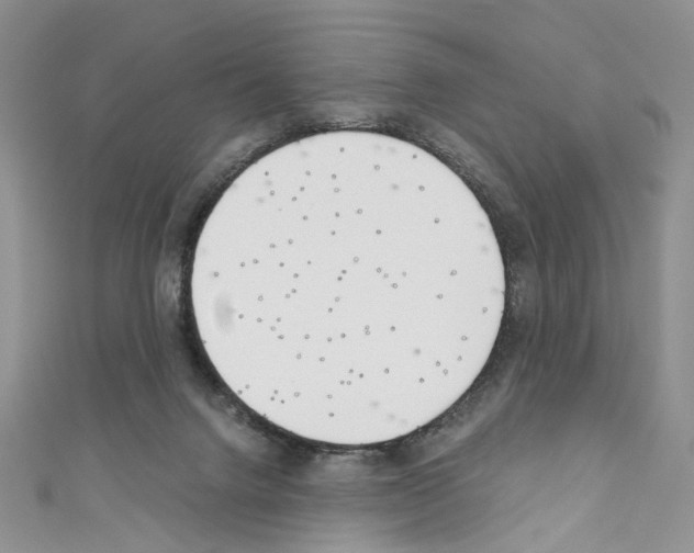 X0000110670072200907241031