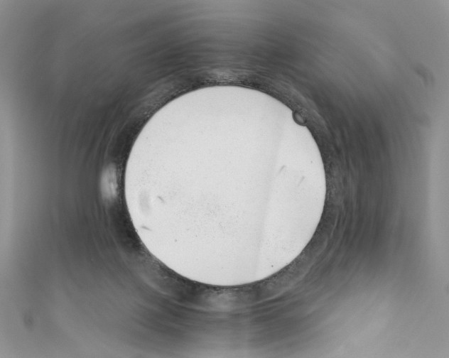 X0000110670075200907241031