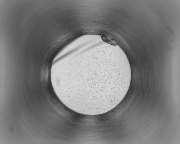 X0000110670076200907241031