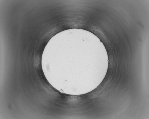 X0000110670077200907241031