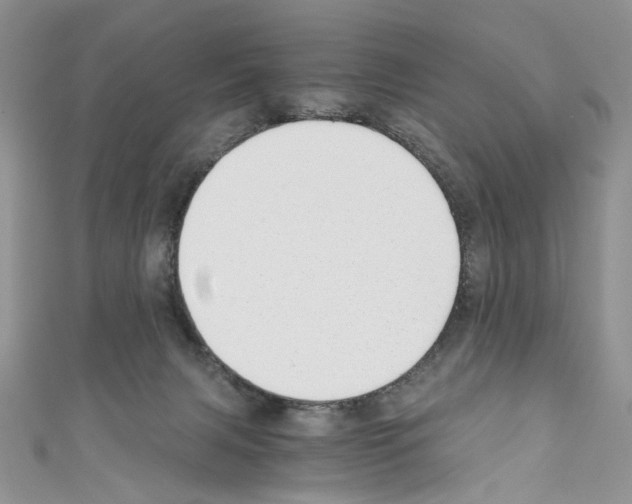 X0000110670079200907241031