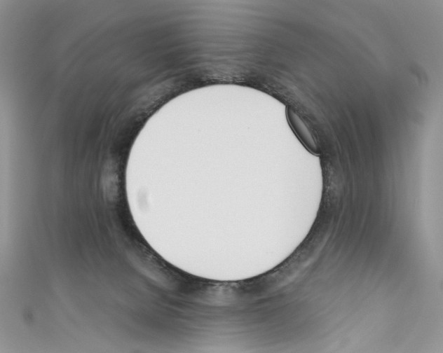 X0000110670080200907241031