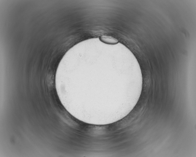 X0000110670081200907241031