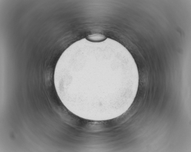 X0000110670082200907241031