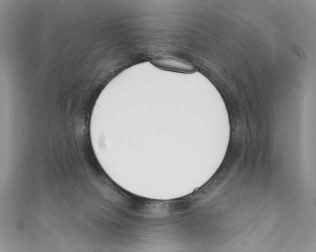 X0000110670084200907241031
