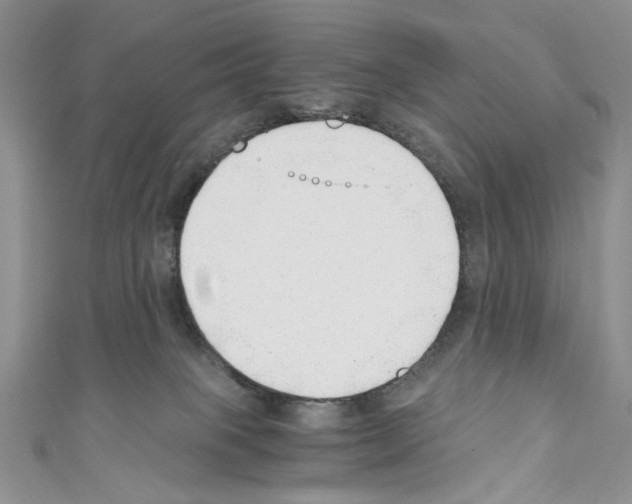 X0000110670085200907241031