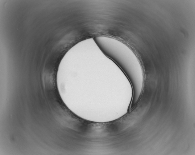 X0000110670088200907241031