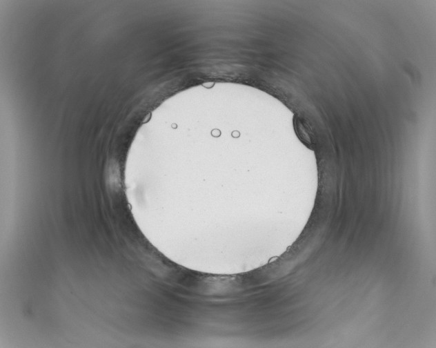 X0000110670089200907241031