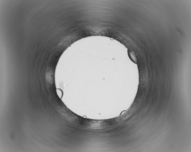 X0000110670090200907241031