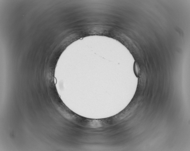 X0000110670091200907241031