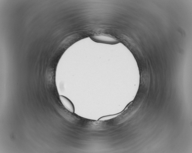 X0000110670092200907241031