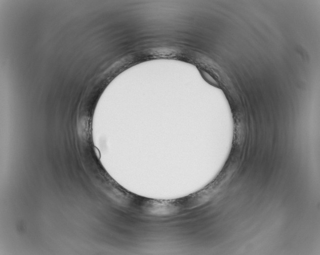 X0000110670093200907241031
