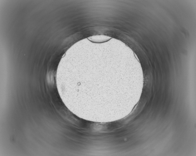 X0000110670094200907241031