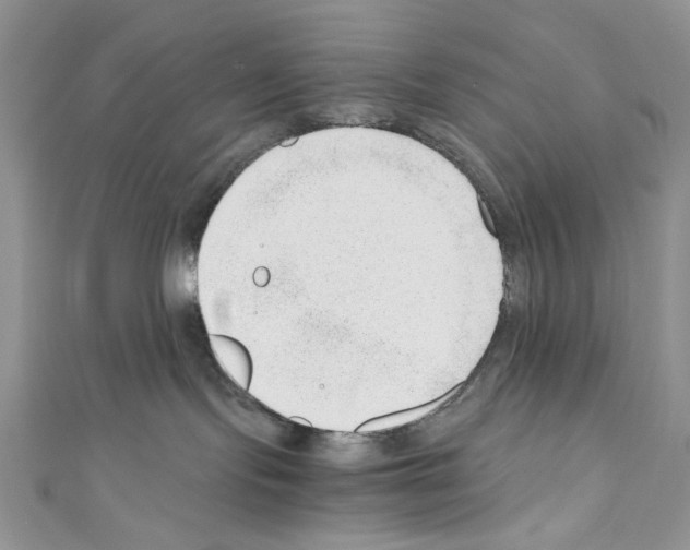 X0000110670095200907241031