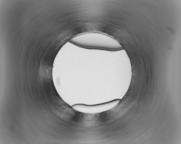 X0000110670096200907241031
