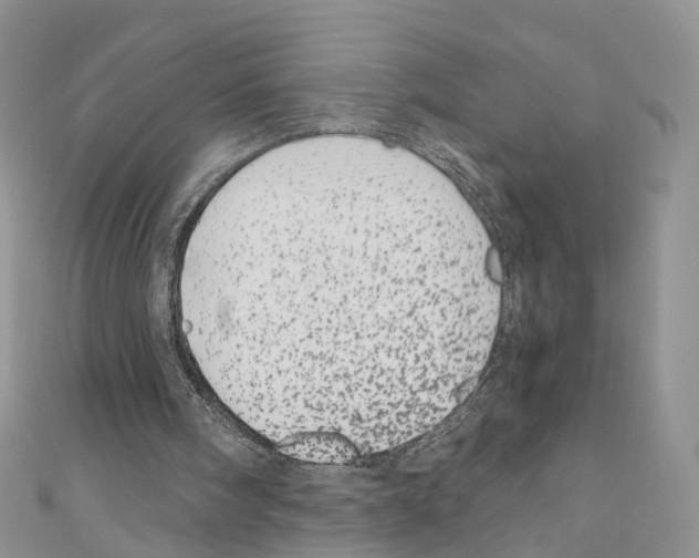 X0000110670098200907241031