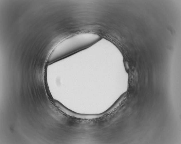 X0000110670100200907241031