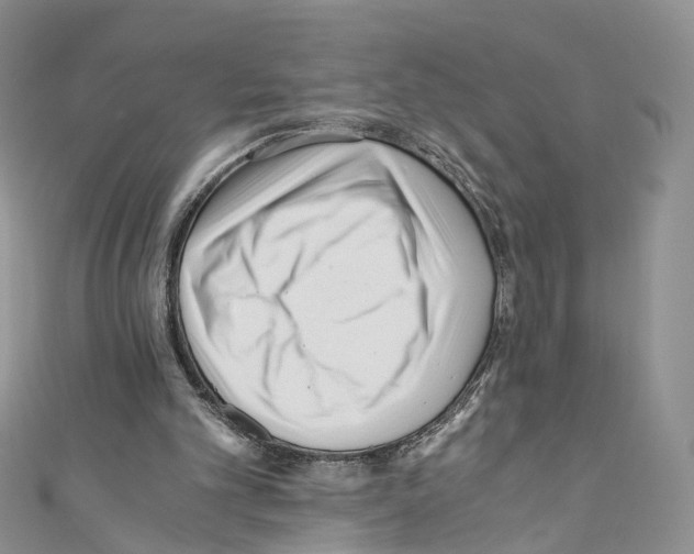X0000110670101200907241031