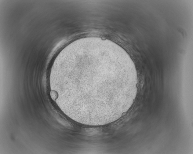 X0000110670102200907241031