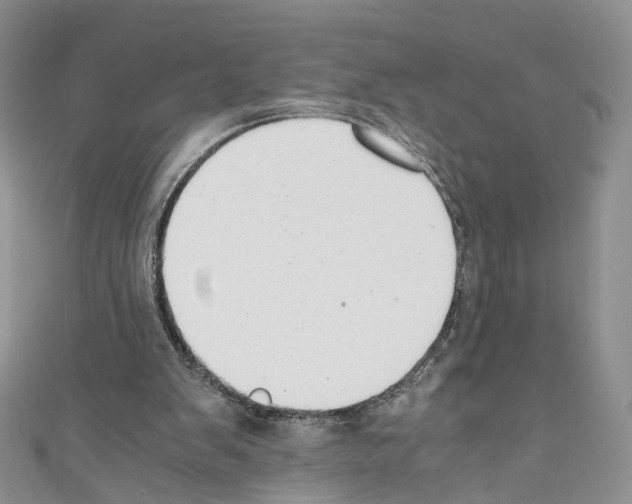 X0000110670103200907241031