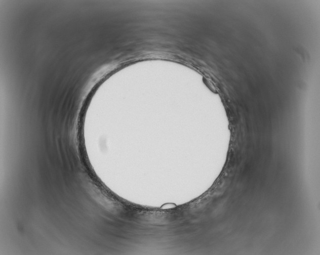 X0000110670104200907241031