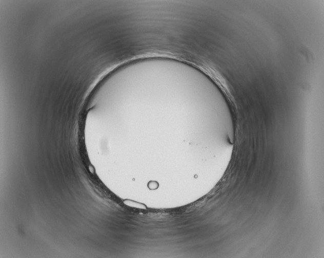 X0000110670108200907241031