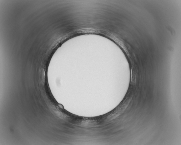 X0000110670109200907241031