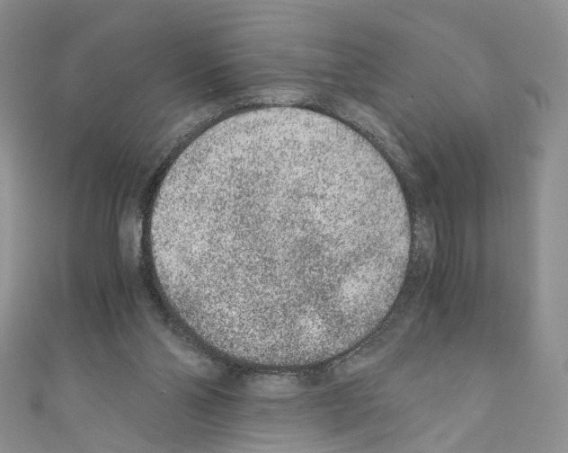 X0000110670110200907241031