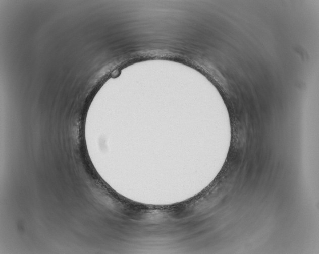 X0000110670111200907241031
