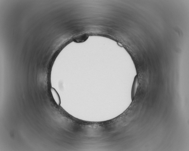 X0000110670112200907241030