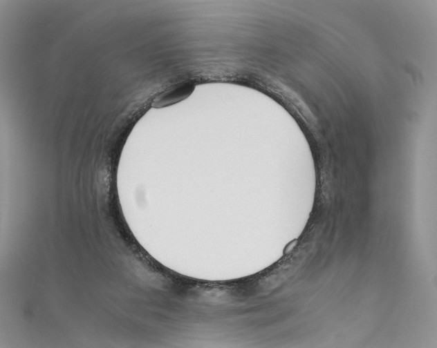 X0000110670113200907241030